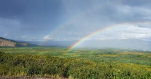 A rainbow is visilbe over the boreal forest in Denali, Alaska.