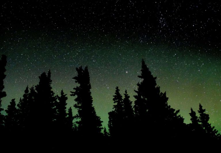 Northern lights in Denali, Alaska.