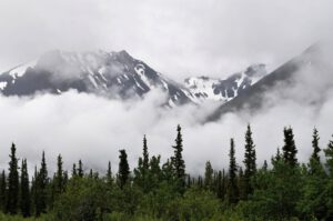 Fog settles over the mountains in Denali, Alaska.