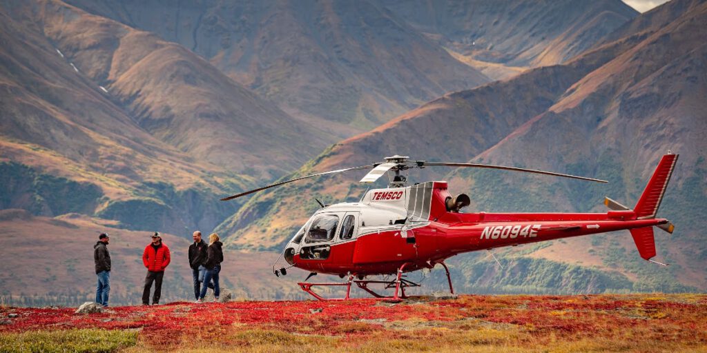 A helicopter lands on the alpine tundra in Denali, Alaska.